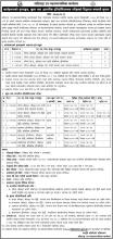 LSMC Recruitment Notice 2072